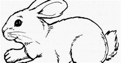 cute baby bunny coloring pages coloringsnet