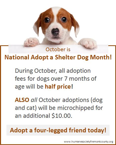 October Is National Adopt A Shelter Dog Month During October All