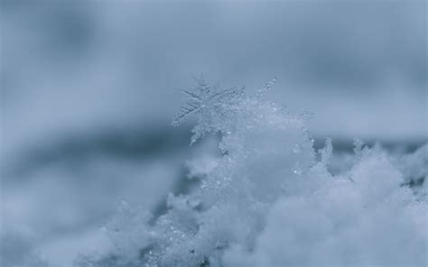 Snowflake Macro Winter Natural Landscape Wallpaper Preview