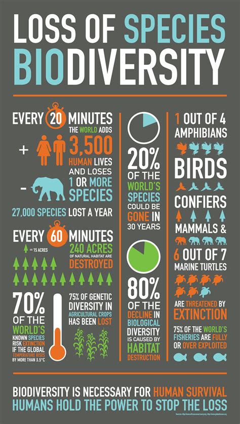 Loss Of Biodiversity Infographic Behance