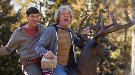 Dumb And Dumber To Honest Trailer Crushes The Comedy Sequel
