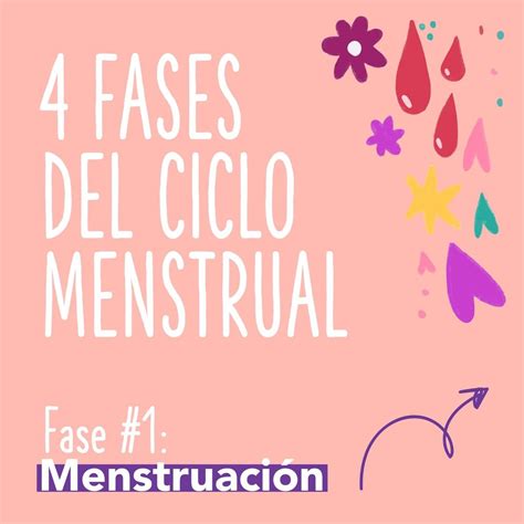 Fases Del Ciclo Menstrual Educaci N Sexual Sida Studi