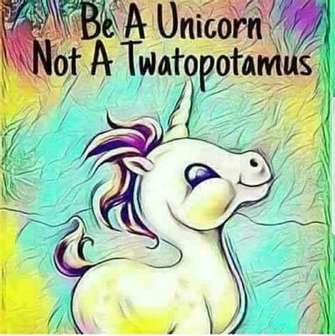 Funny Unicorn Quotes Photos Cantik