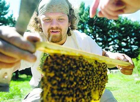 Bee Debate Causes A Buzz In Blackman Township