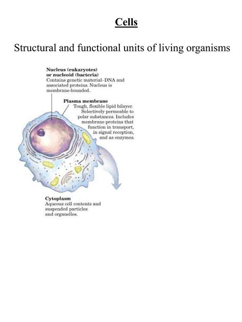 Ppt Cells Structural And Functional Units Of Living Organisms