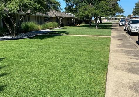 Dallas Tx Lawn Care Service Lawn Mowing From 19 Best Of 2020