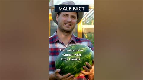 why do some men prefer big boobs the surprising answer facts shorts malefacts tmtfacts