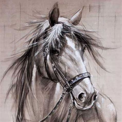 Pencil Sketch Horse Print Framed Canvas 50cm X 70cm