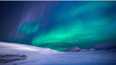 Greenlands Northern Lights Nature Expeditions International