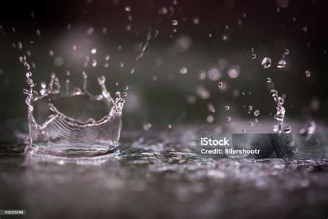 Rain Drops Splashing Into A Puddle Of Water Stock Photo Download