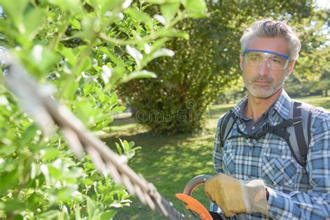 Man Holding Hedge Trimmer Stock Photo Image Of Hedge 198492450