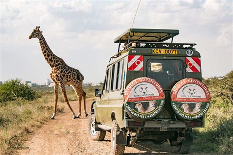 Nairobi National Park Entrance Fee And Attractions Divulge Adventures