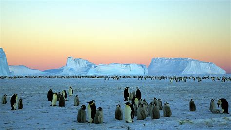 Wait What Antarctica Gaining Ice Despite Climate Change Study Says
