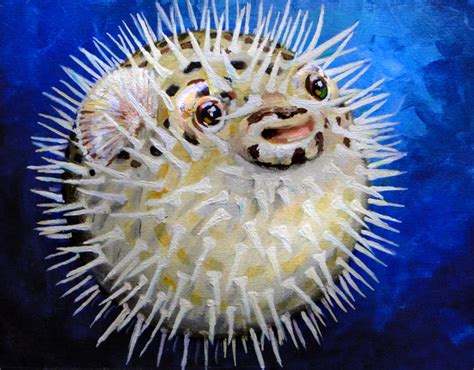 Blowfish Wallpapers Animal Hq Blowfish Pictures 4k Wallpapers 2019