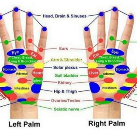 Pressure Point Hand