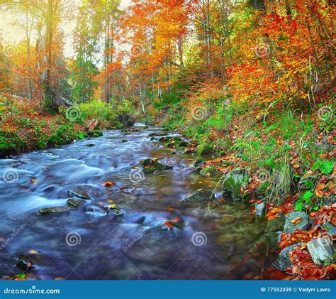 Rapid Mountain River In Autumn Stock Image Image Of Rock Extreme