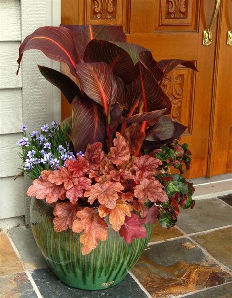 17 Best Images About Fall And Winter Container Garden