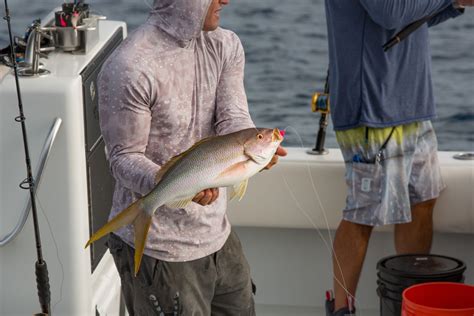 How To Rig For Yellowtail Snapper Fishing Florida Keys