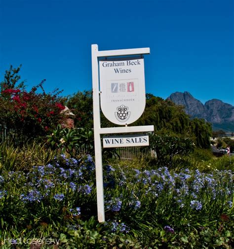 Franschhoek Wine Farms Overexposed Photography