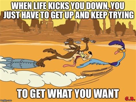 Wile E Coyote And Roadrunner Imgflip