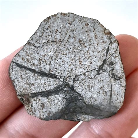 Viñales Meteorite L6 Chondrite Slice Meteolovers