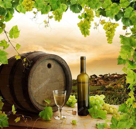 Wine Grapes Grapevine And Vineyard — Stock Photo © Miiisha 2284174