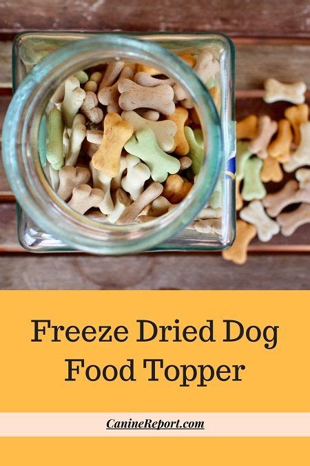 Plenty of mixers with different flavors & textures to choose from at chewy.com. Freeze Dried Dog Food Topper | Dog treats homemade recipes ...