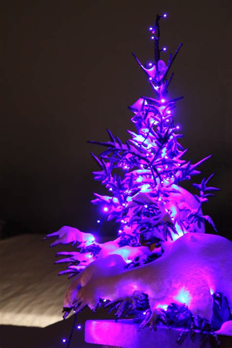 Maybe you would like to learn more about one of these? Free Images : snow, winter, light, night, purple, petal ...