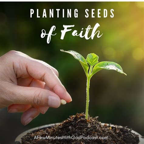 Plant Seeds Of Faith Ultimate Christian Podcast Radio Network