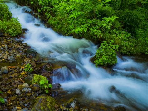 Wallpaper Water Beautiful Oregon Forest River Waterfall Stream