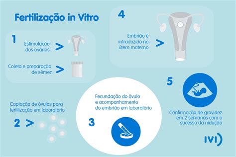 Qual A Diferença Entre Inseminação Artificial E Fertilização In Vitro
