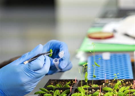 The Latest Advances In Biotechnology And How They Are Revolutionizing The Way We Grow And