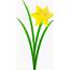 Single Golden Daffodil  Free Clip Art