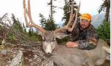 Wyoming Deer Hunting Outfitters