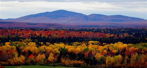 Fall Foliage Colors In Maine - MeInMaine Blog