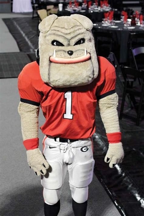One Dawg Four Faces — Getting To Know The Men Behind The Mascot
