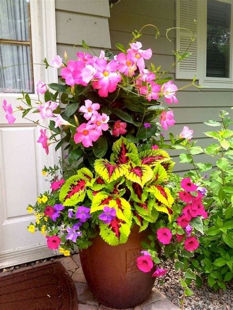 55 fresh and beautiful summer container garden flowers ideas container flowers container