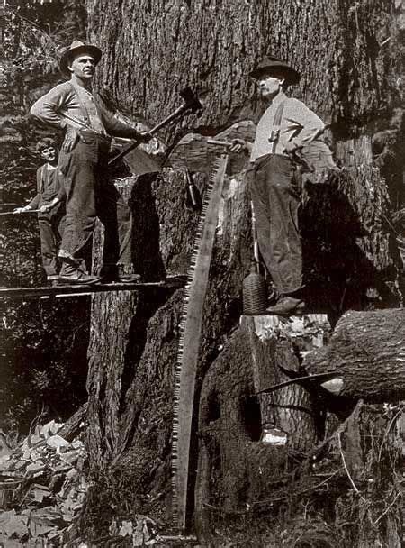Loggers In New Palmer Logging Camp In Oregon 1912 Old Photos