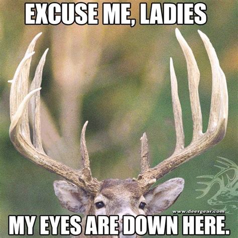 I Was Totally Starring At His Rack Hunting Humor Deer Hunting Humor Funny Hunting Pics