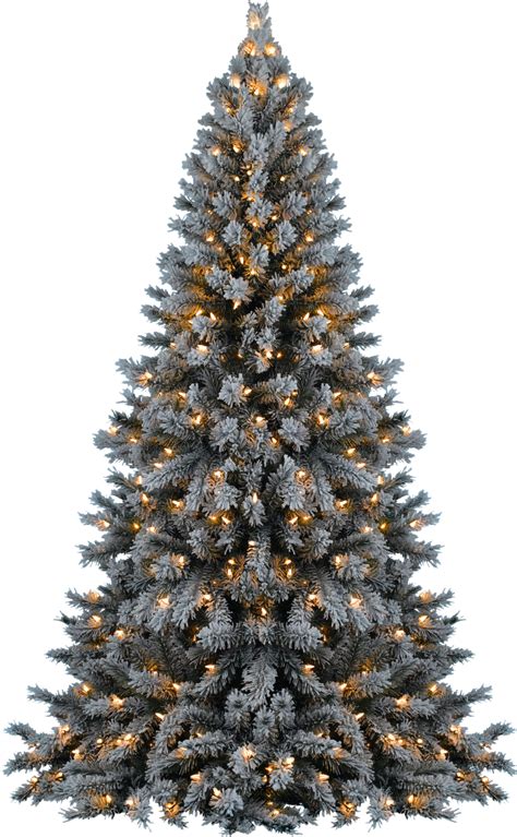 Collection of christmas trees png (23). XMAS TREE PNG by dbszabo1 on DeviantArt