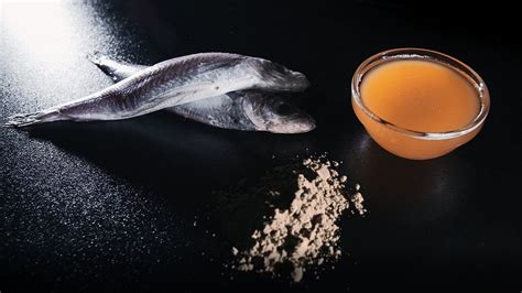 While the scientific research on fish oil's. Bakkafrost - Fishmeal and fish oil - Faroese salmon