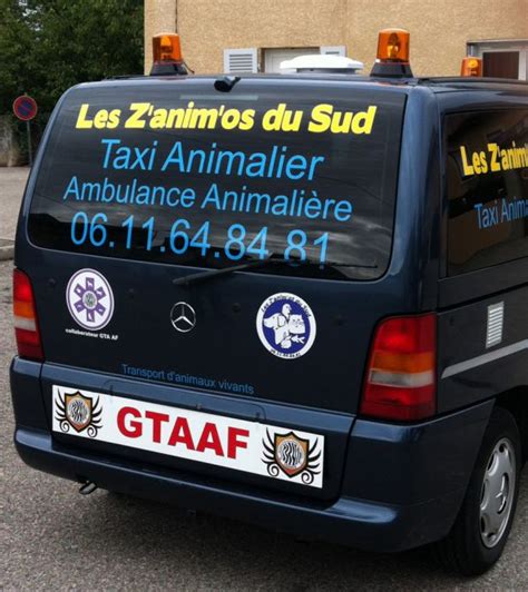 Taxi Animalier à Marseille Et Alentours Les Zanimos Du Sud