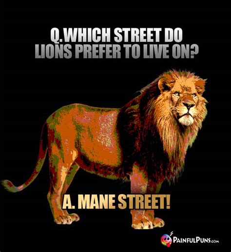 Lion Jokes Roar Puns King Of The Jungle Lols 3