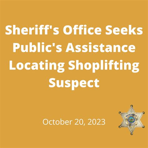 Shoplifting Suspect - Douglas County, NV Sheriff