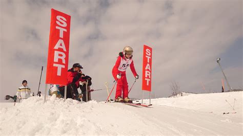7th Inter Chamber Ski Race Austrian Business Council