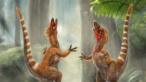 The First Hints Of A Dinosaurs True Colors Npr