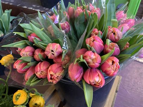 Lafayette was platted by the river trader william digby, in may 1825. Floral Design Classes | Rubia Flower Market - Florist ...