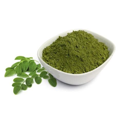 Moringa Powder, Type : Oleifera at best price INR 170INR 180 / Kilogram gambar png