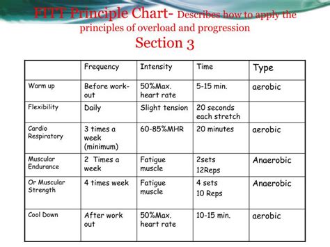 Full Body Workout Blog Fitt Principle Workout Plan Example