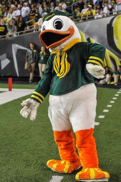 Puddles University Of Oregon Mascot State Of Oregon Oregon Ducks Uo